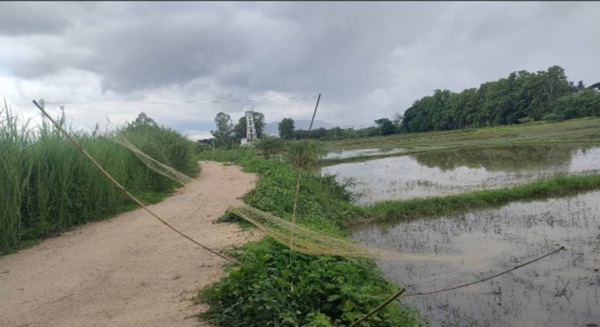 ขายที่ดิน 54 ไร่ ติดทางหลวงแผ่นดิน อำเภอเวียงชัย จังหวัดเชียงราย รูปที่ 1