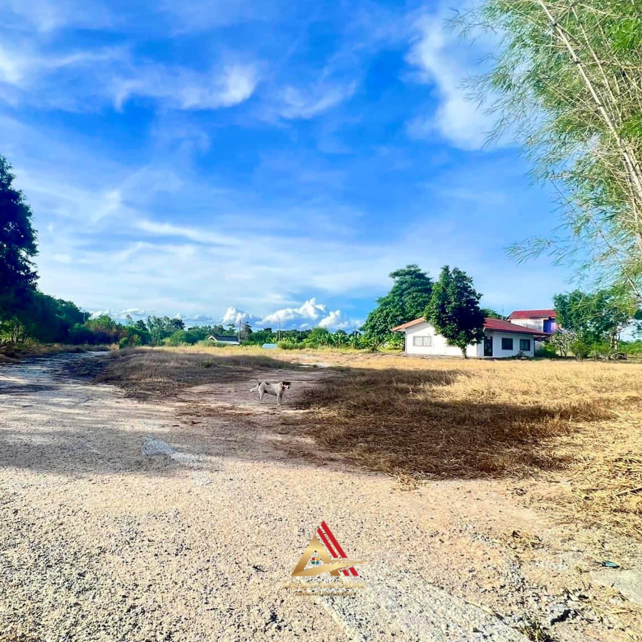 ขายที่ดิน ภทบ.5 ติดถนน สำนักท้อน บ้านฉาง ที่สวยตามหลักฮวงจุ้ย ตกองศา ร่ำรวยมั่นคง  รูปที่ 5
