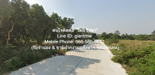 ที่ดิน ที่ดินเขาชีจรรย์ สัตหีบ ชลบุรี 110000 บ.  ใหญ่ 15 sq.wa 3 Ngan 7 ไร่ ไม่ไกลจาก ห่างพระพุทธรูปแกะสลักหน้าผาเขาชีจรรย์ 1.8 กิโลเมตร ราคาพิเศษ เป็นสี่เหลี่ยมผืนผ้า ทำเลดี และอยู่ใกล้สถานที่ท่องเที่ยวมากมาย รูปที่ 1