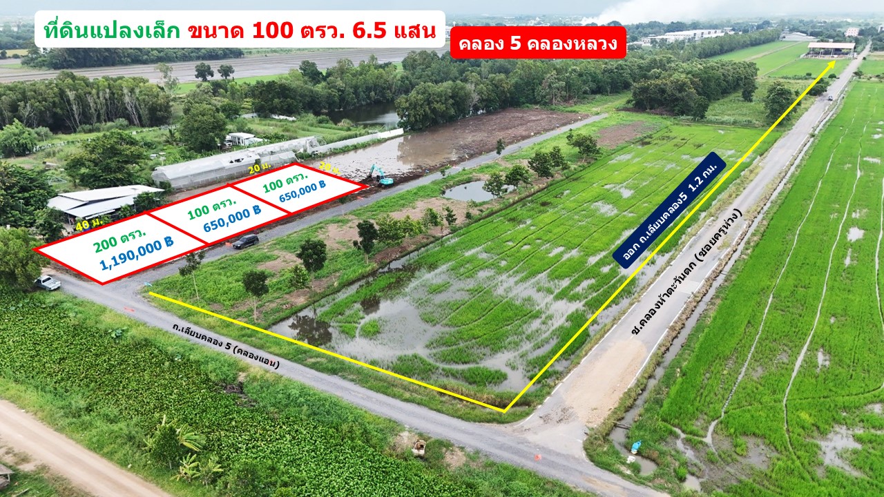 ที่ดินคลอง 5 คลองหลวง ปทุมธานี 100 ตรว. เพียง 6.5 แสน รูปที่ 1