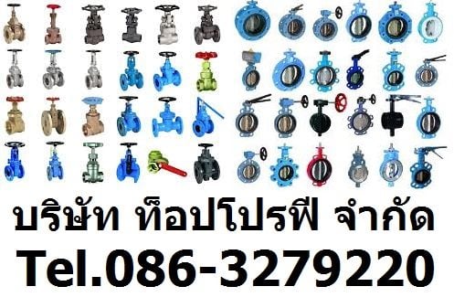 วูซังวาล์ว แพนเช็ควาล์ว เช็ควาล์วกันย้อนกลับ สวิงเช็ควาล์ว เช็ควาล์ว 0863279220 รูปที่ 1