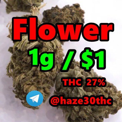  Super Boof, Amnesia Haze, Feminized, HHCP, AlphaPinene, รูปที่ 1