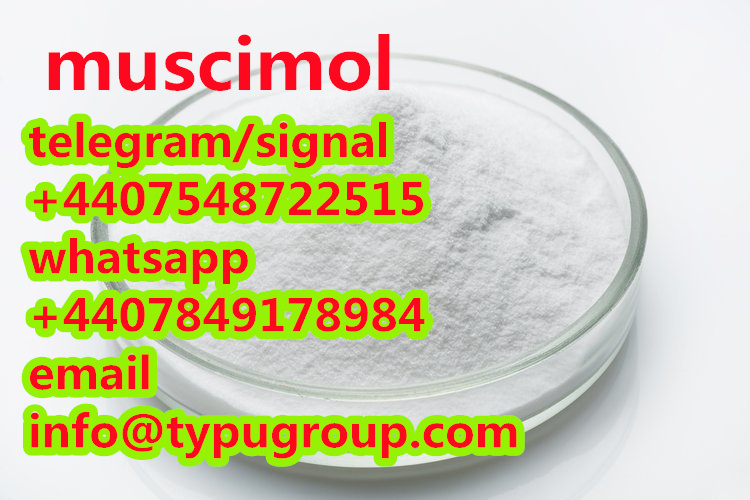 pure Muscimol cas 2763-96-4 telegram/signal:+4407548722515 รูปที่ 1