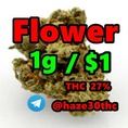  Fleurs de cannabis, Cannabisblüten, Cannabis flowers,