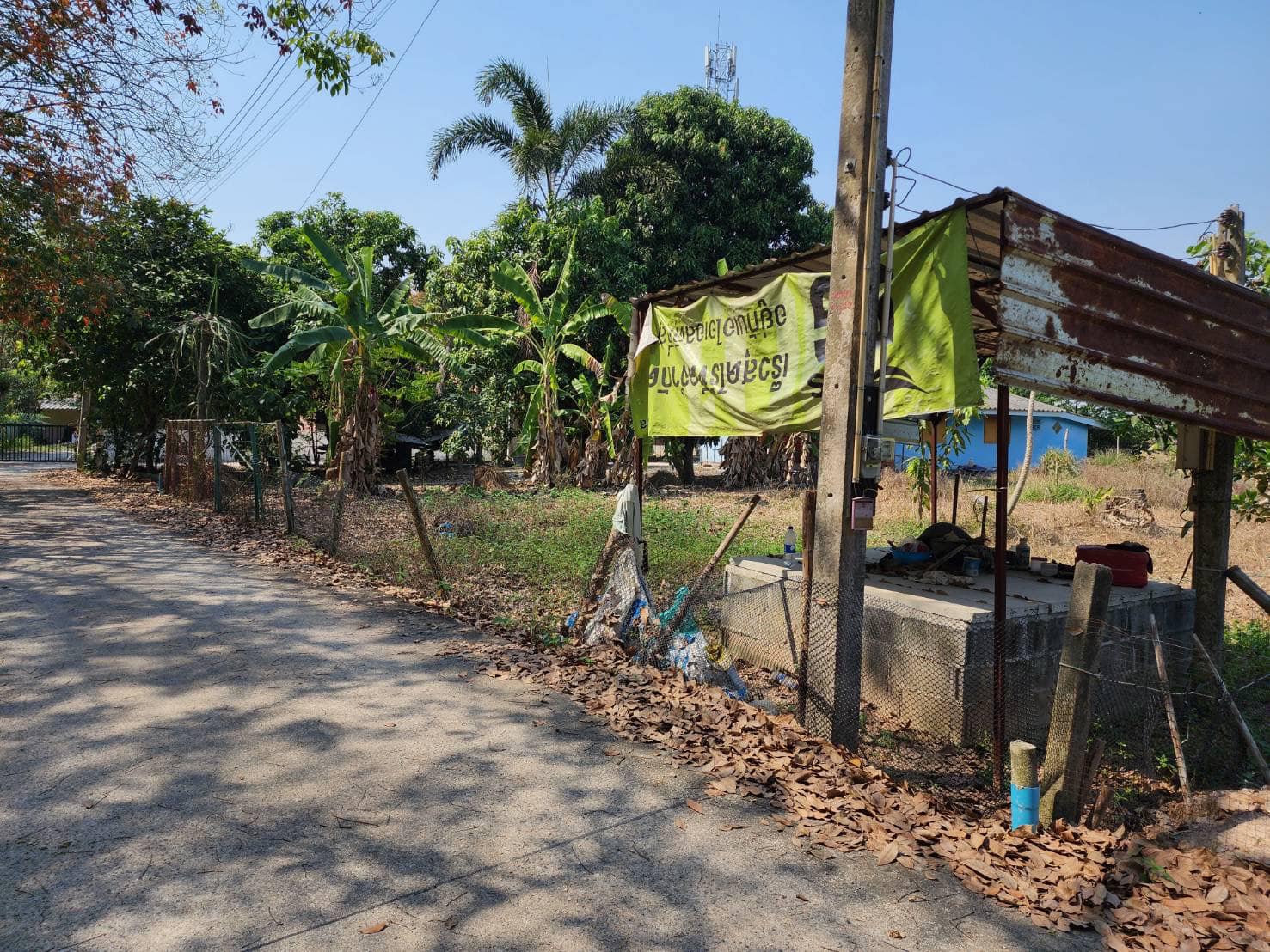 ขายที่ดินเปล่าติดธรรมชาติเหมาะสำหรับสร้างบ้าน สงบ ร่มรื่น ทับมา ระยอง รูปที่ 4
