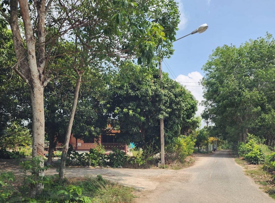 ขายที่ดินเปล่าติดธรรมชาติเหมาะสำหรับสร้างบ้าน สงบ ร่มรื่น ทับมา ระยอง รูปที่ 5
