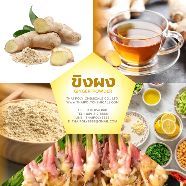 สารสกัดขิงผง, Ginger Extract, ข้อมูลเพิ่มเติม โทร 034854888 รูปที่ 1