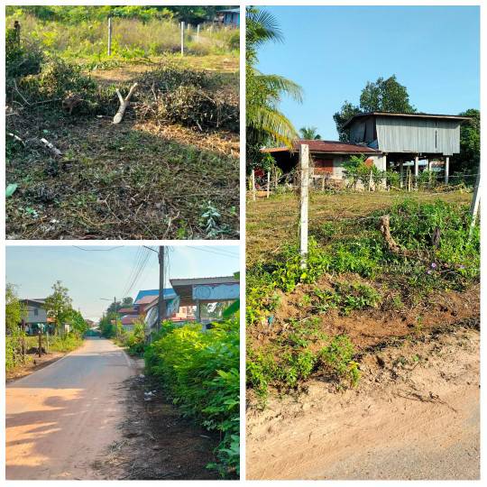 ขายที่ดินเปล่าบ้านโนนเหลี่ยม ราคาถูก ถมดินเรียบร้อย อำเภอเมืองชัยภูมิ    รูปที่ 6