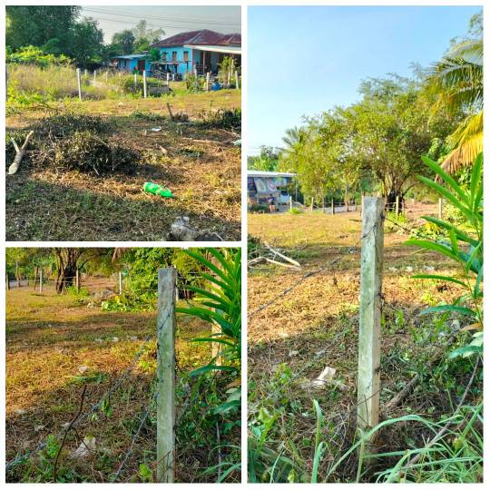 ขายที่ดินเปล่าบ้านโนนเหลี่ยม ราคาถูก ถมดินเรียบร้อย อำเภอเมืองชัยภูมิ    รูปที่ 7
