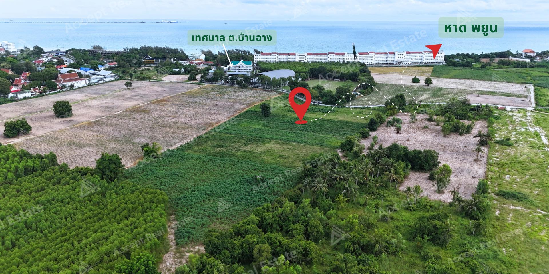 ขายที่ดินเปล่าใกล้ทะเล โลเคชั่นดี หาดพยูน บ้านฉาง ระยอง รูปที่ 3