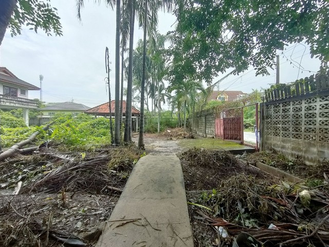 ขายที่ดินพร้อมบ้านปลูกสร้างเอง ถนนบางกรวย-ไทรน้อย ซ.วัดบางอ้อยช้าง รูปที่ 1