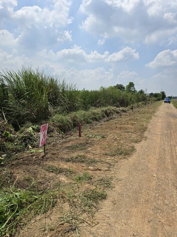 ที่ดินคลองหก คลองหลวง ซอยตะวันออก 90/1 ขนาด 100 ตรว. รูปที่ 1