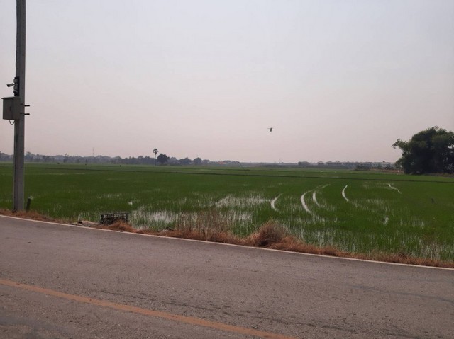 ขายที่ดินแปลงสวย ต.บางใหญ่ อ.บางใหญ่ จ.นนทบุรี   49-2-10 ไร่ รูปที่ 1