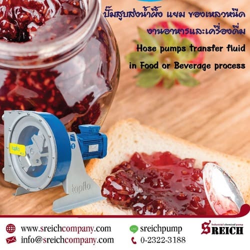 ปั๊มโฮสสูบส่งของเหลวหนืด Hose pump food grade with FDA material รูปที่ 1