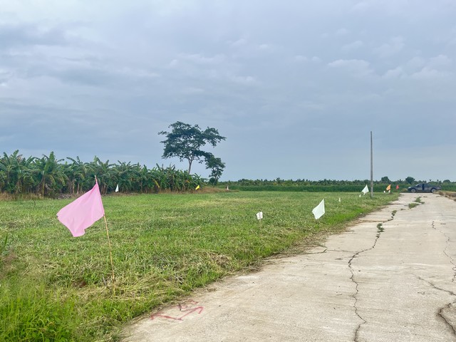 ขาย ที่ดินเปล่า คลอง 11 ตะวันออก ต. หนองสามวัง อ. หนองเสือ จ.ปทุมธานี เนื้อที่ 200 ตรว. ใกล้ถนนสี่เลน วิวรีสอร์ท รูปที่ 1