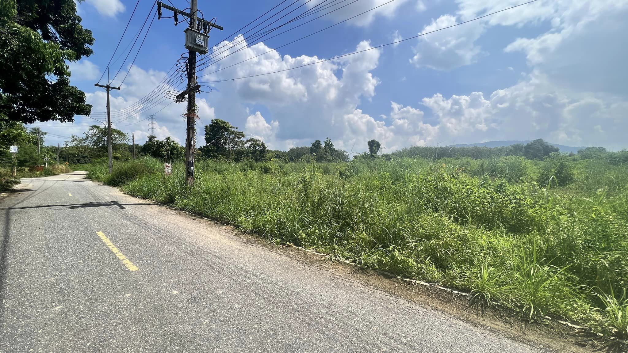 ขายที่ดินเปล่าสำหรับคนชอบความสงบ รักธรรมชาติ บ้านแลง อำเภอเมือง ระยอง รูปที่ 7