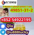 49851-31-2 4-Bromo-1-phenyl-pentan-1-one