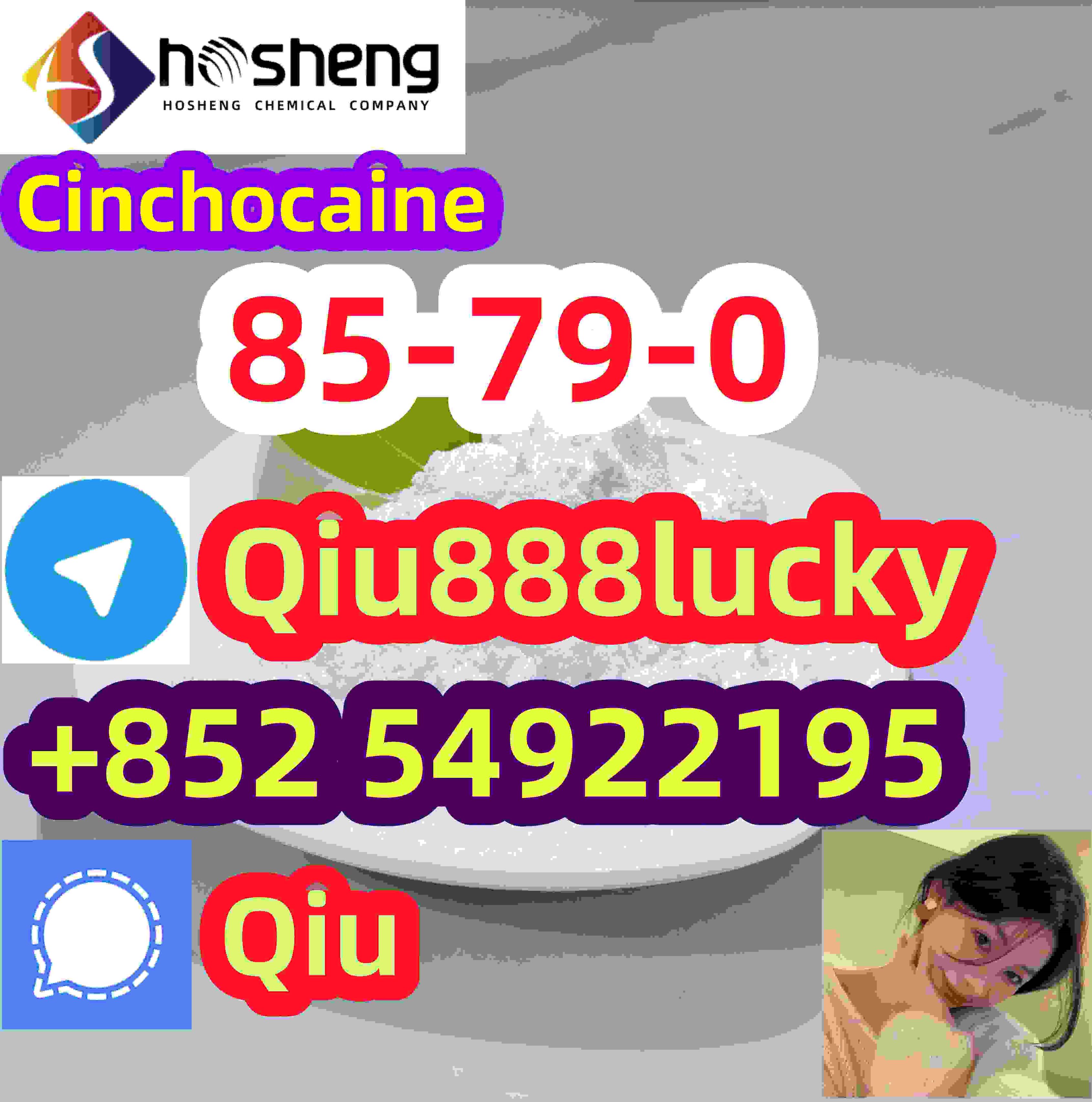 85-79-0 Cinchocaine รูปที่ 1