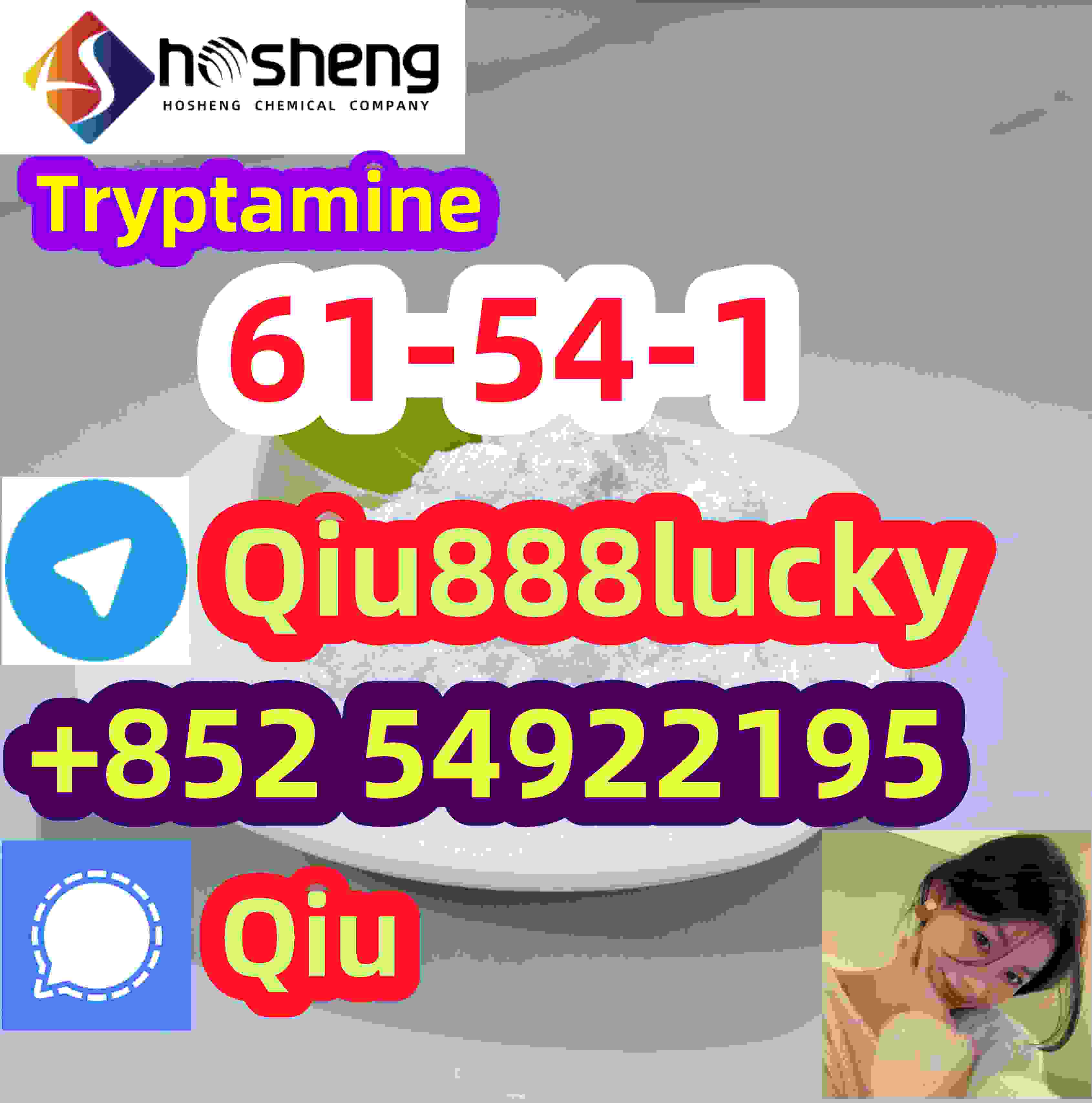 61-54-1 Tryptamine รูปที่ 1