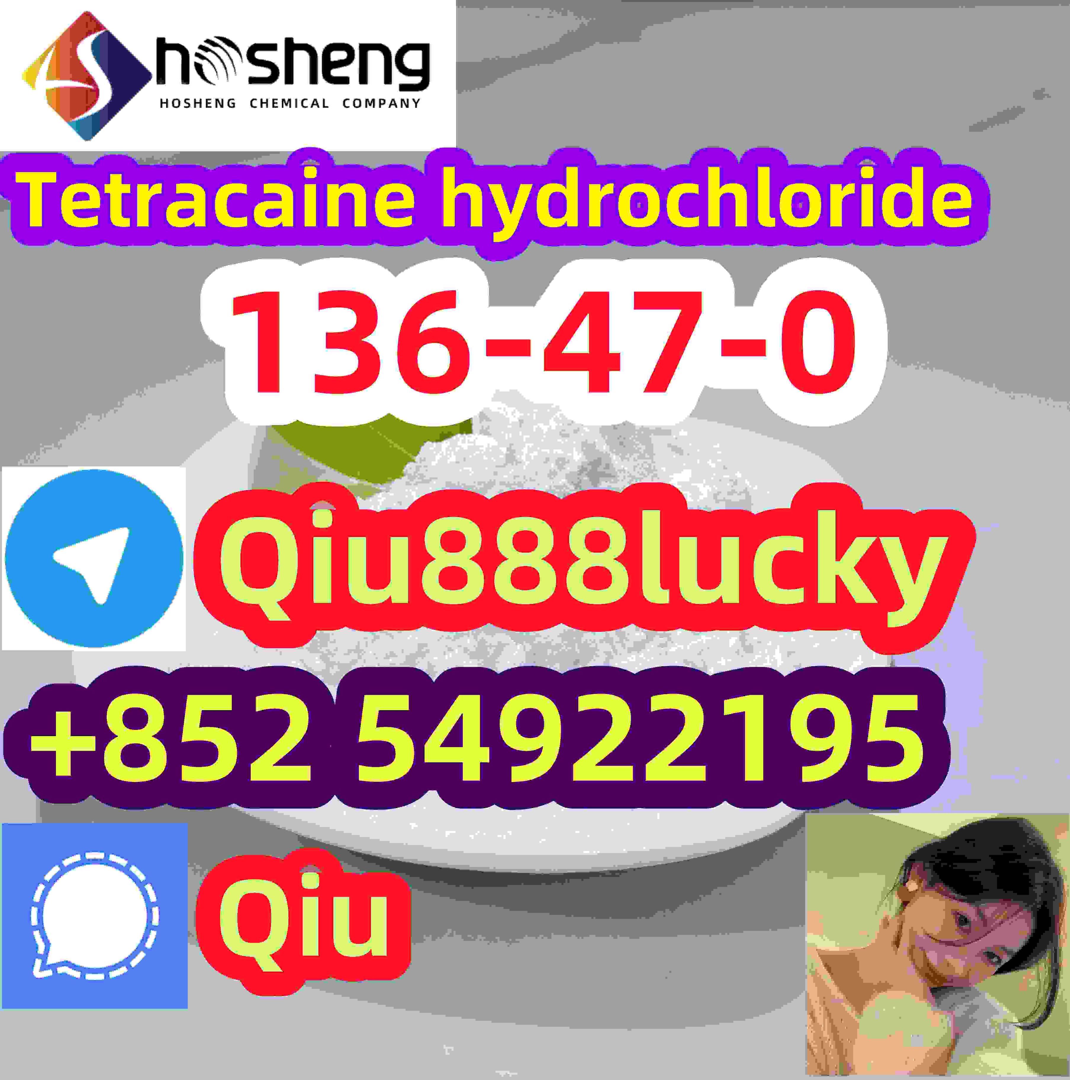 136-47-0 Tetracaine hydrochloride รูปที่ 1