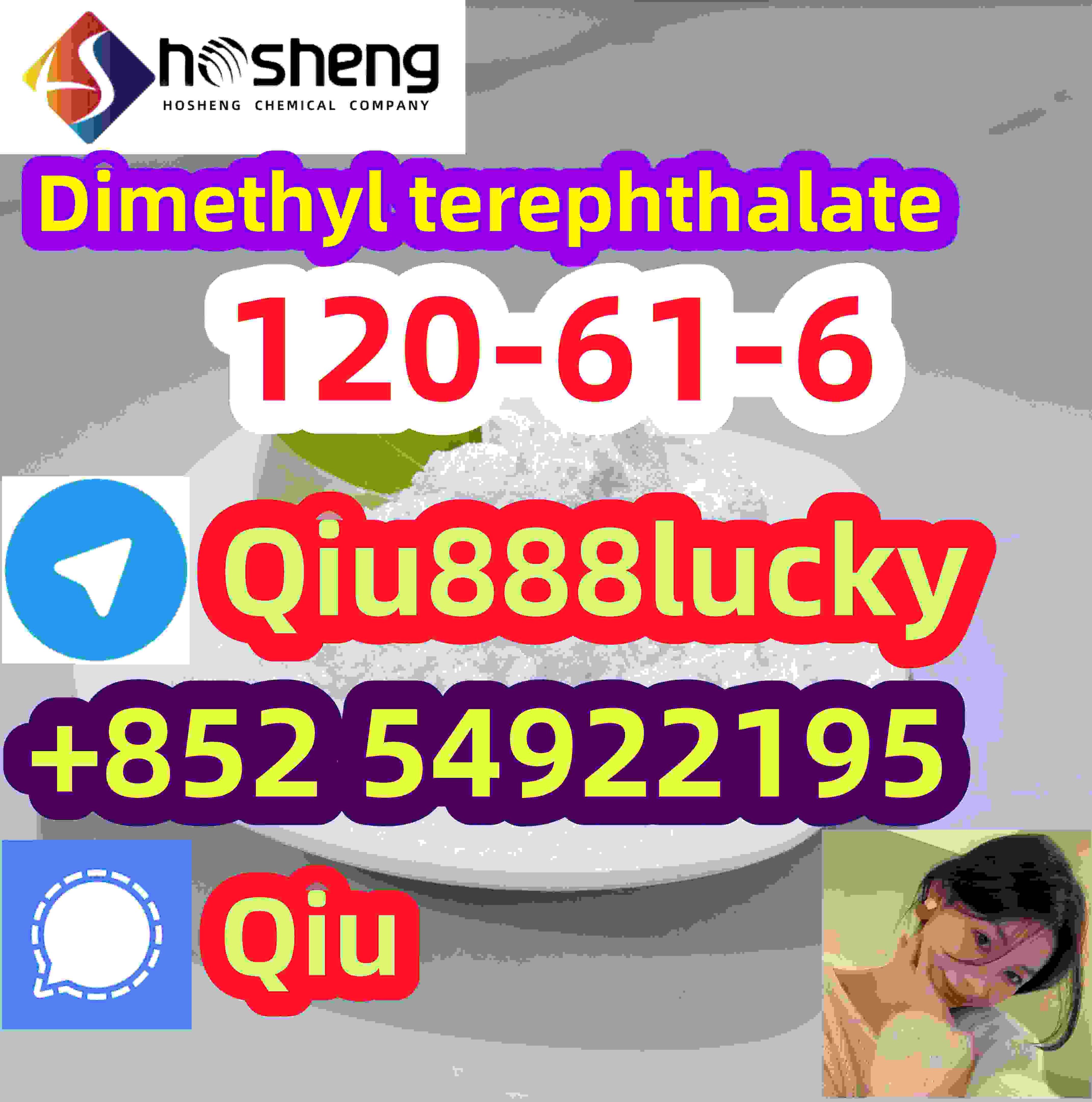 120-61-6 Dimethyl terephthalate รูปที่ 1