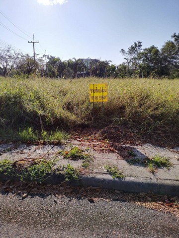 ขายที่ดินใกล้ทะเลสาบ 188 ตรว. วิวสวย ทำเลดี ในหมู่บ้านวิจิตราธานี อ.บางปะกง จ.ฉะเชิงเทรา รูปที่ 1