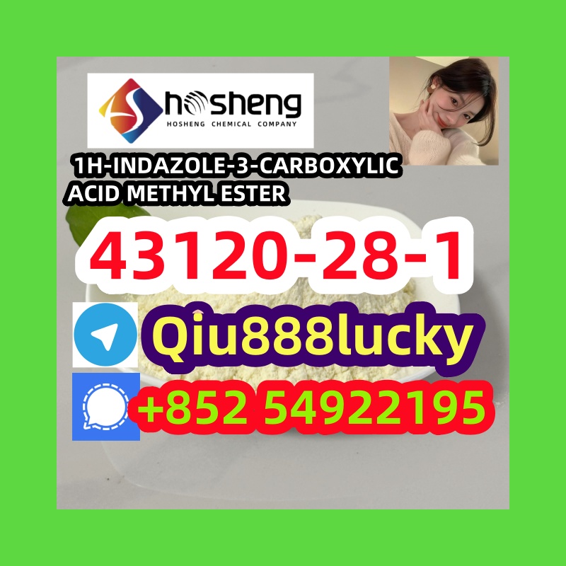 43120-28-1 1H-INDAZOLE-3-CARBOXYLIC ACID METHYL ESTER รูปที่ 1