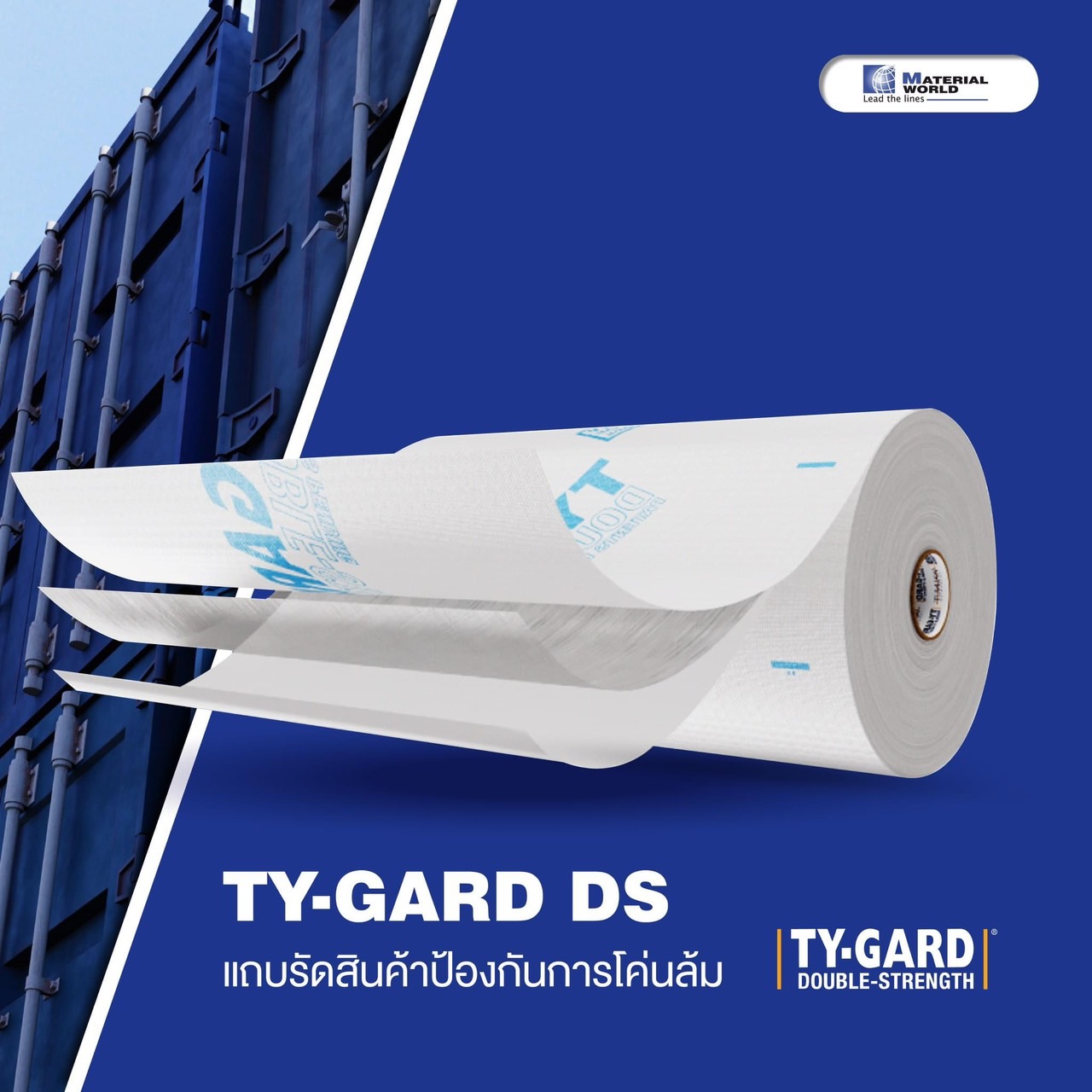 TY-GARD DS รูปที่ 1