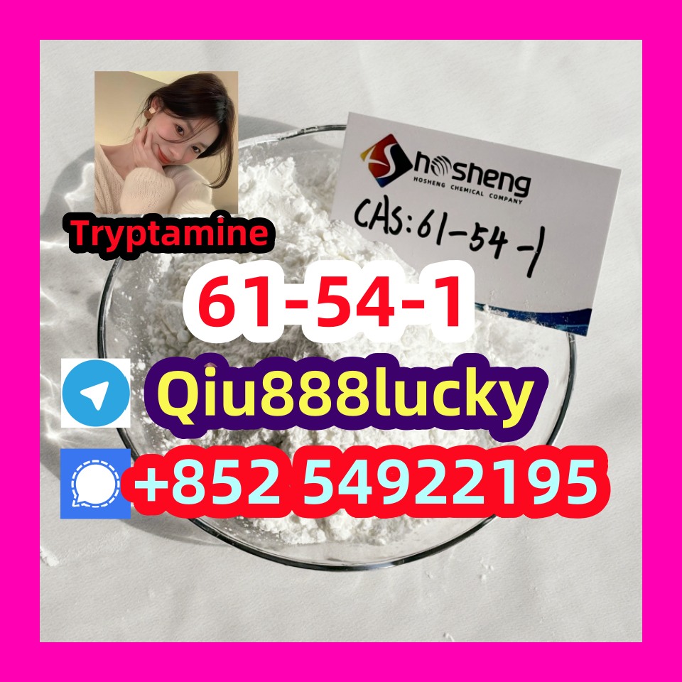 61-54-1 Tryptamine รูปที่ 1