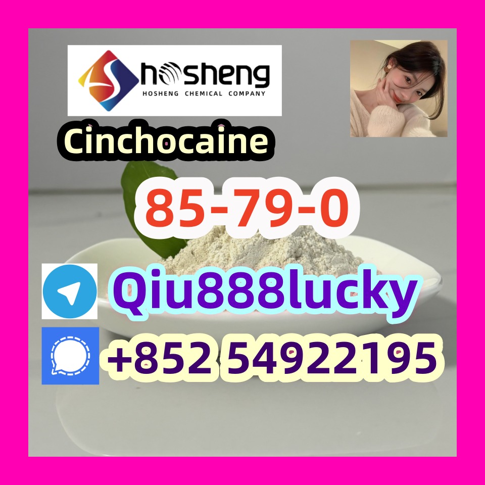 85-79-0 Cinchocaine รูปที่ 1