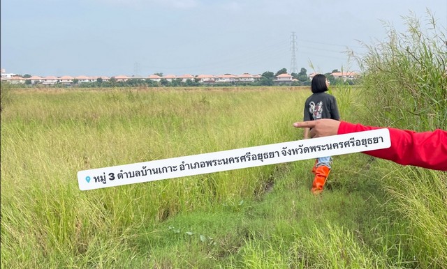 ที่ดินสายเอเซียบ้านเกาะอยุธยา 26-1-46.7 ไร่ ที่ดินติดทางคู่ขนานสายเอเซียฝั่งขาเข้า รูปที่ 1