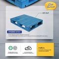 Plastic Pallet Hygiene series