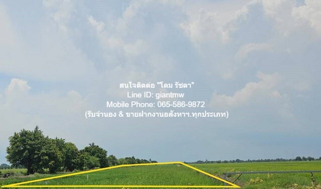 ขายที่ดินทุ่งนาติดถนน ต.คลองเปร็ง อ.เมืองฉะเชิงเทรา 13-0-24.9 ไร่ 6.25 ล้านบาท รูปที่ 1