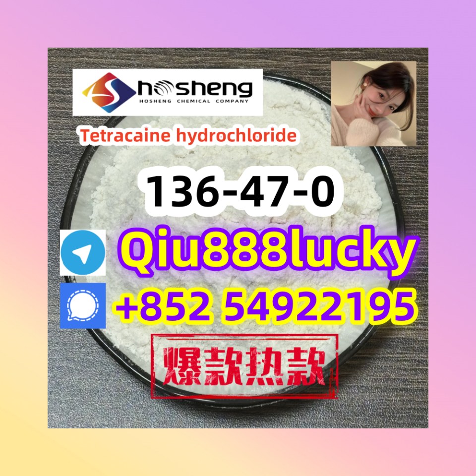 136-47-0 Tetracaine hydrochloride รูปที่ 1