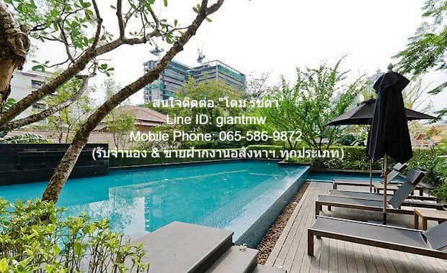 คอนโดมิเนียม ไฮฟ์ สุขุมวิท 65 16000 thb 1BR1BR พื้นที่ 40 Square Meter ใกล้กับ ใกล้ BTS เอกมัย ออกแบบลงตัว เป็นคอนโดพร้อมอยู่ที่มีการตกแต่งภายในเพิ่มเติมได้แบบเรียบหรู และมีทำเลสวยสามารถมองเห็นวิวสวยงาม พร้อมพื้นที่ส่วนกลาง และสิ่งอำนวยความสะดวกครบคร รูปที่ 1