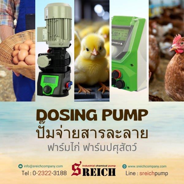 นวัตกรรมปั๊มโดสสารเคมี โดสคลอรีน จ่ายสารละลาย แม่นยำสูง Dosing pump high accuracy รูปที่ 1