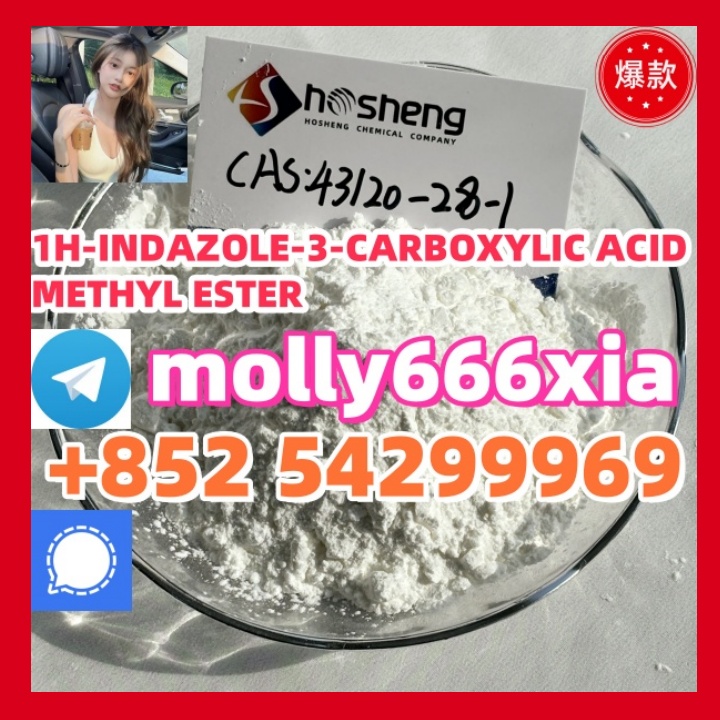 43120-28-1	1H-INDAZOLE-3-CARBOXYLIC ACID METHYL ESTER รูปที่ 1