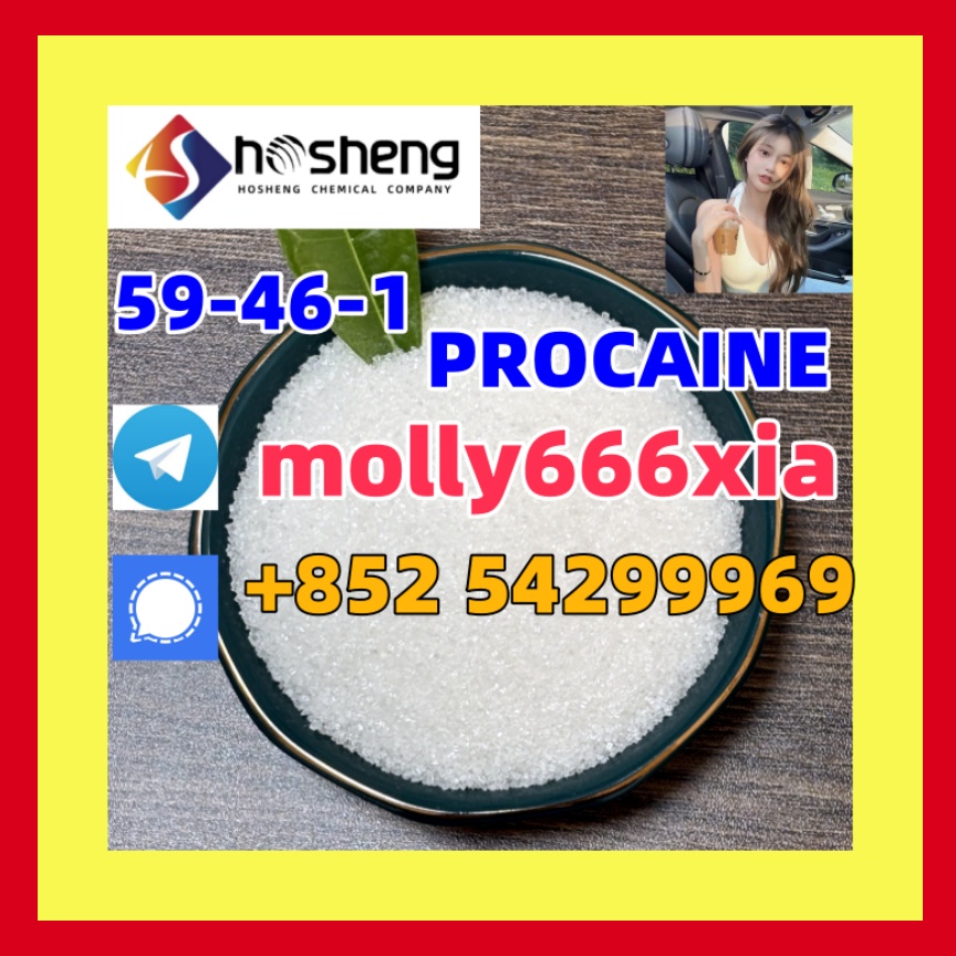 59-46-1	PROCAINE รูปที่ 1