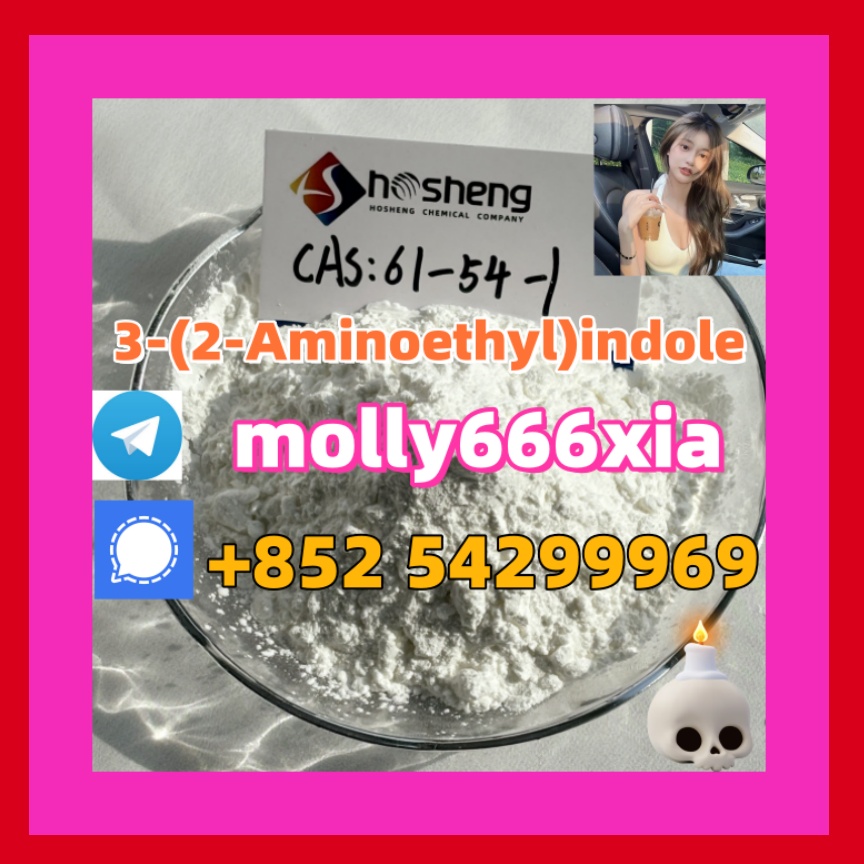 61-54-1 	3-(2-Aminoethyl)indole รูปที่ 1