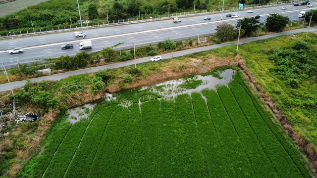 ที่ดินคลอง3 คลองหลวง ปทุมธานี ติดถนนมอเตอร์เวย์ 9ไร่ 356ตร.ว. รูปที่ 1