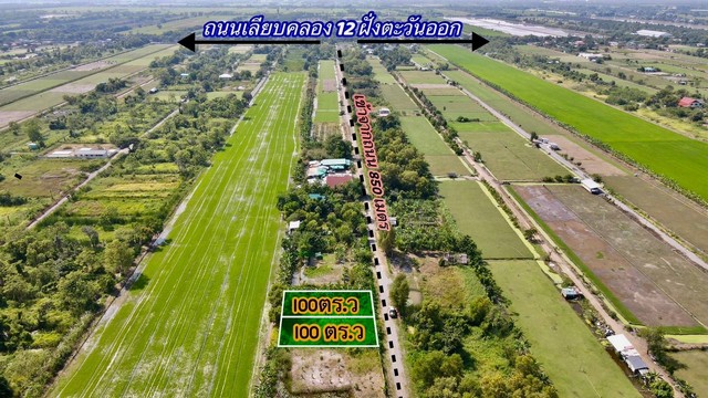 ที่ดินคลอง12 หนองเสือ ปทุมธานี 100 ตร.ว 370,000 บาท รูปที่ 1