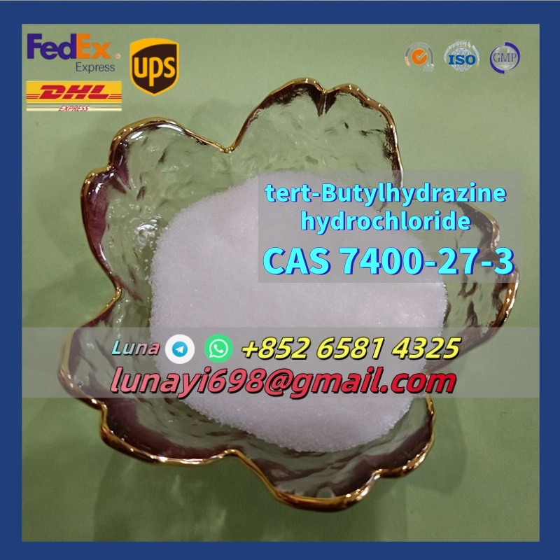 Low Price and Good Quality CAS 7400-27-3 Tert-Butylhydrazine Hydrochloride รูปที่ 1