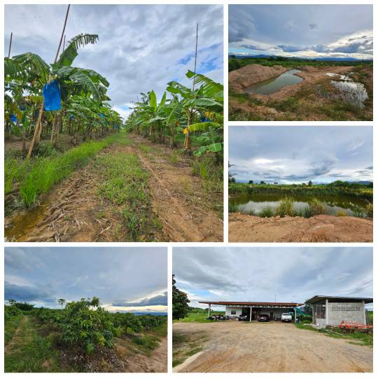 ขายที่ดินสวนผสม  บ้านบึง  ราชบุรี วิวร้อยล้าน อากาศดี  รูปที่ 6