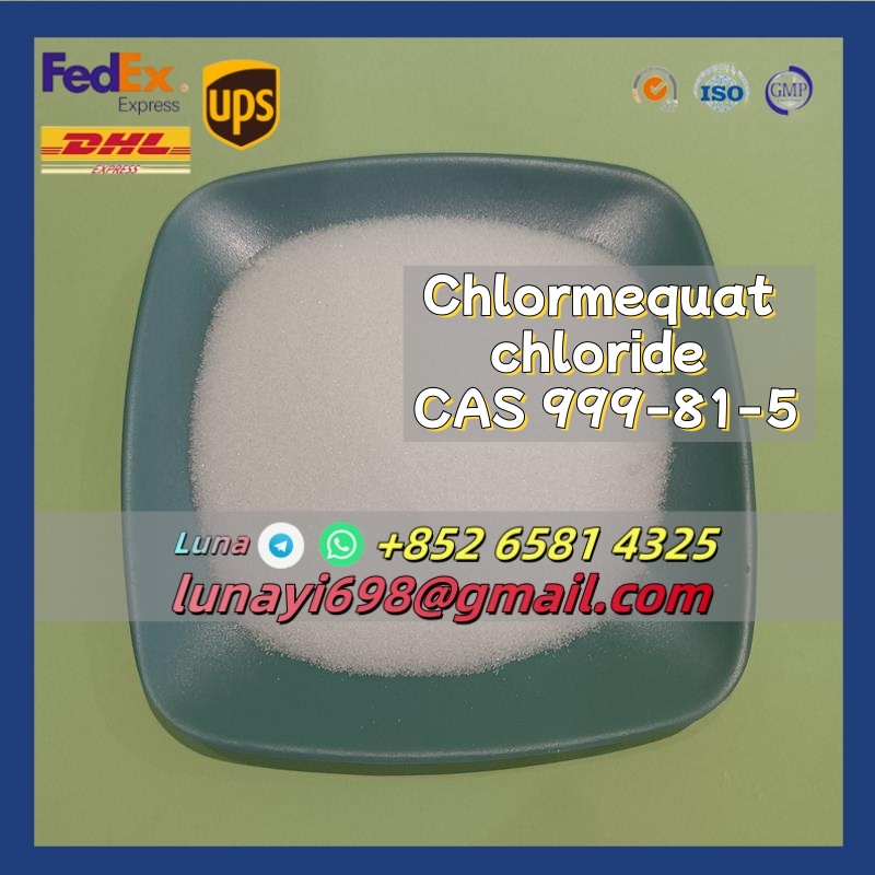 High Purity Chlormequat Chloride Powder CAS 999-81-5 with Safe Delivery รูปที่ 1