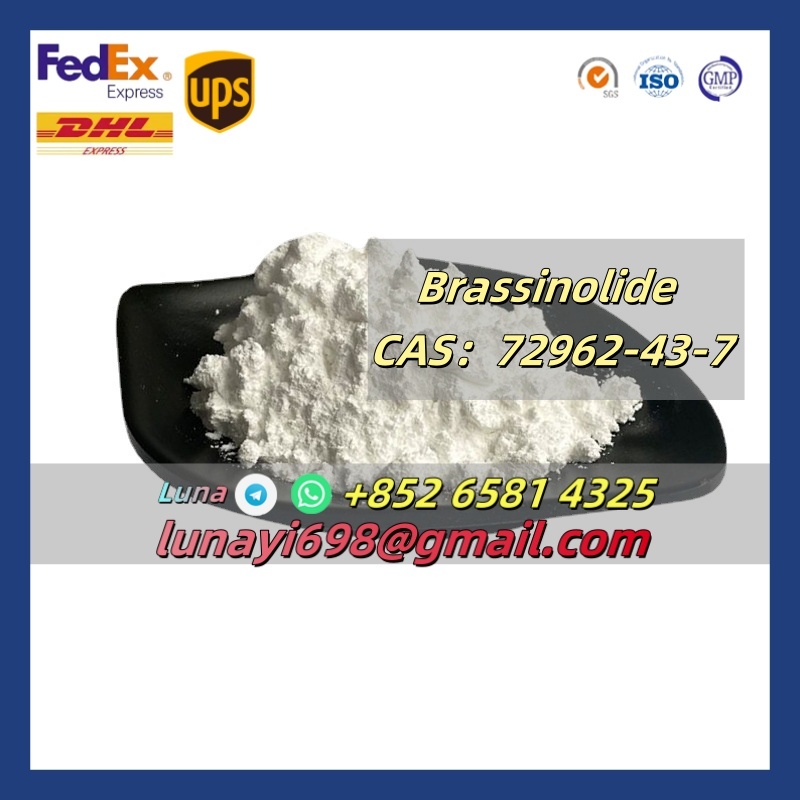 Manufacturer Supply Plant Powder Brassinolide Br CAS 72962-43-7 รูปที่ 1