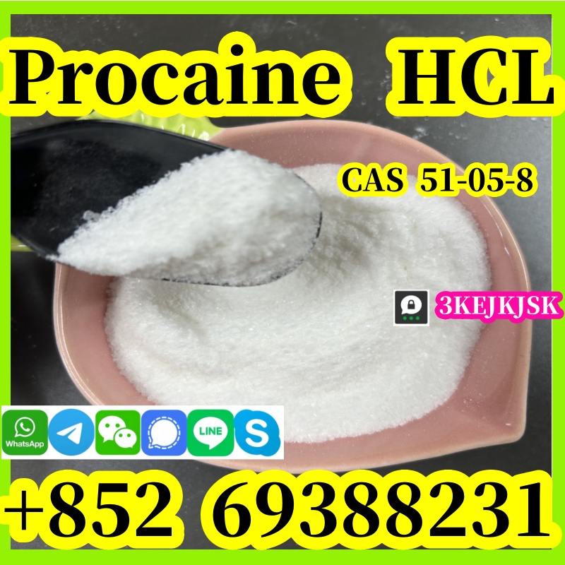 Procaine hydrochloride CAS 51-05-8 คุณภาพดีที่สุดจากผู้ผลิตในจีน ความบริสุทธิ์ 99% รูปที่ 6