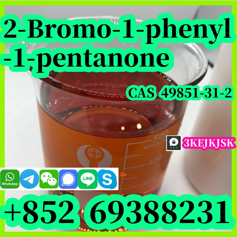 ผู้ผลิตจีน 2-Bromo-1-phenyl-1-pentanone Cas 49851-31-2 คุณภาพดีที่สุด จัดส่งปลอดภัย รูปที่ 4