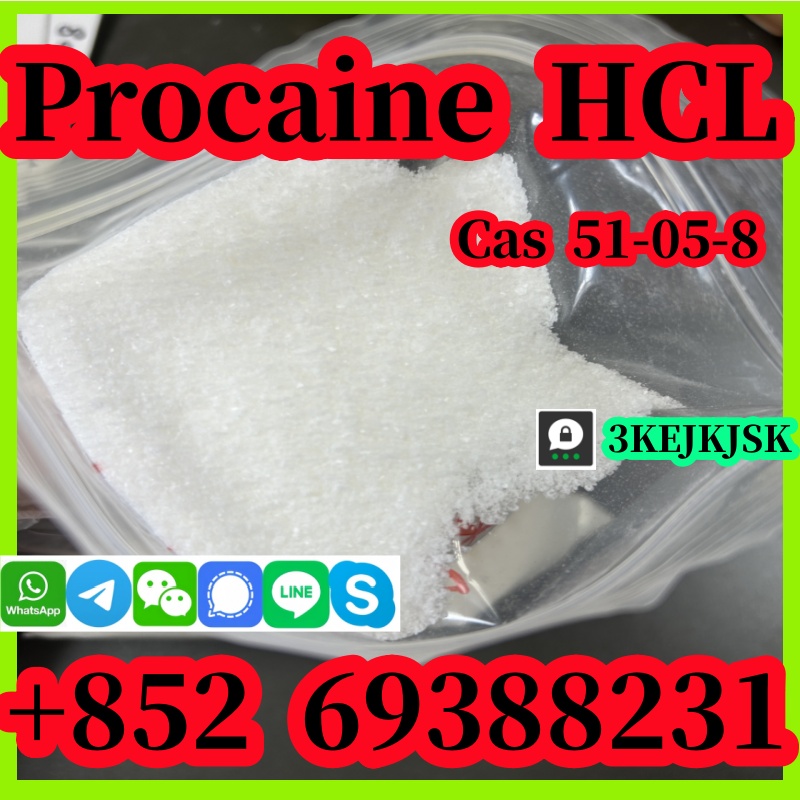 Procaine hydrochloride CAS 51-05-8 คุณภาพดีที่สุดจากผู้ผลิตในจีน ความบริสุทธิ์ 99% รูปที่ 1