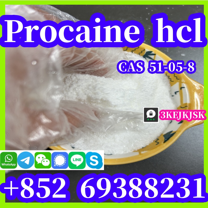 Procaine hydrochloride CAS 51-05-8 คุณภาพดีที่สุดจากผู้ผลิตในจีน ความบริสุทธิ์ 99% รูปที่ 5