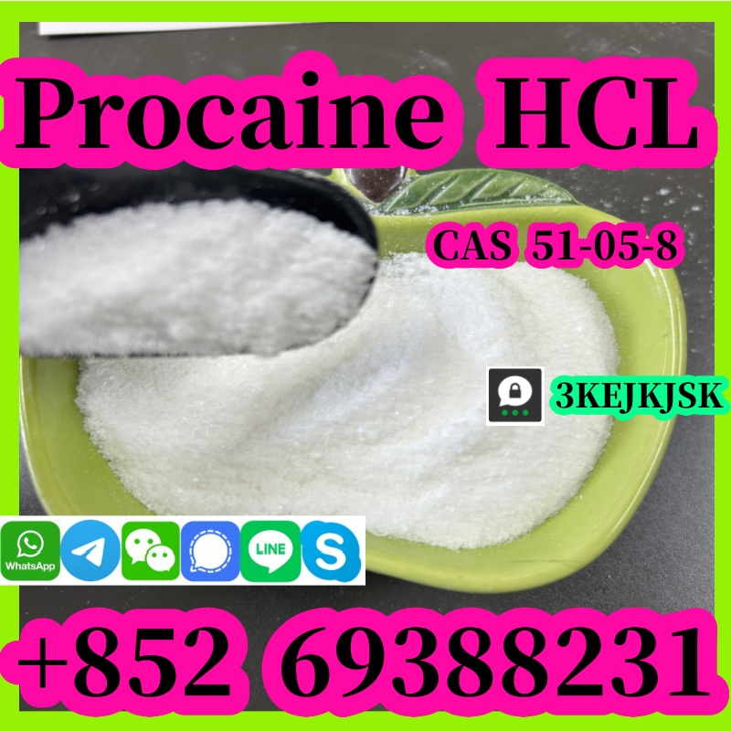 Procaine hydrochloride CAS 51-05-8 คุณภาพดีที่สุดจากผู้ผลิตในจีน ความบริสุทธิ์ 99% รูปที่ 4